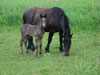 Baby 2008 Photo 43